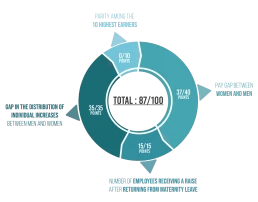 Gender equality index